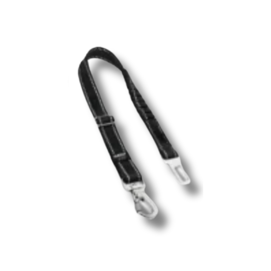Safety Belt
