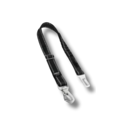 Safety Belt