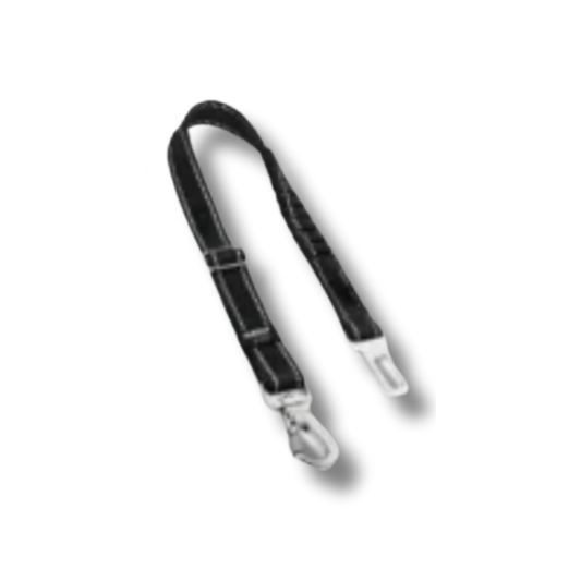 Safety Belt